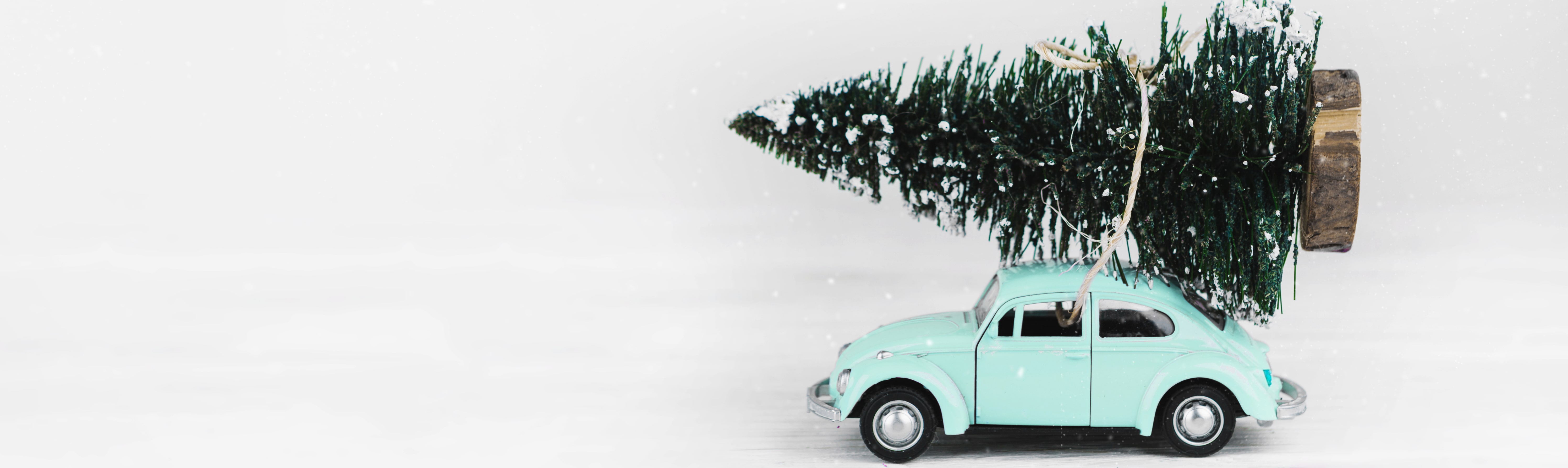 Kaufen Sie Schweizer Weihnachtsbaum Online Kostenlose Lieferung Zu Ihnen Nach Hause